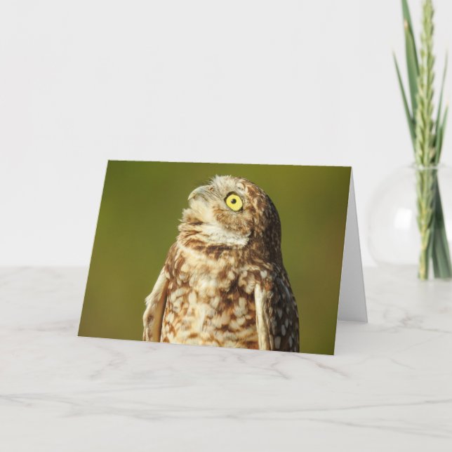 Burrowing Owl Notecard (Front)
