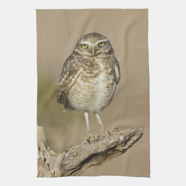 Burrowing Owl on a Cholla Rib Kitchen Towel (Vertical)