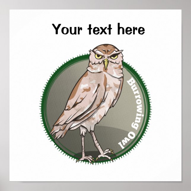 Burrowing Owl Poster (Front)