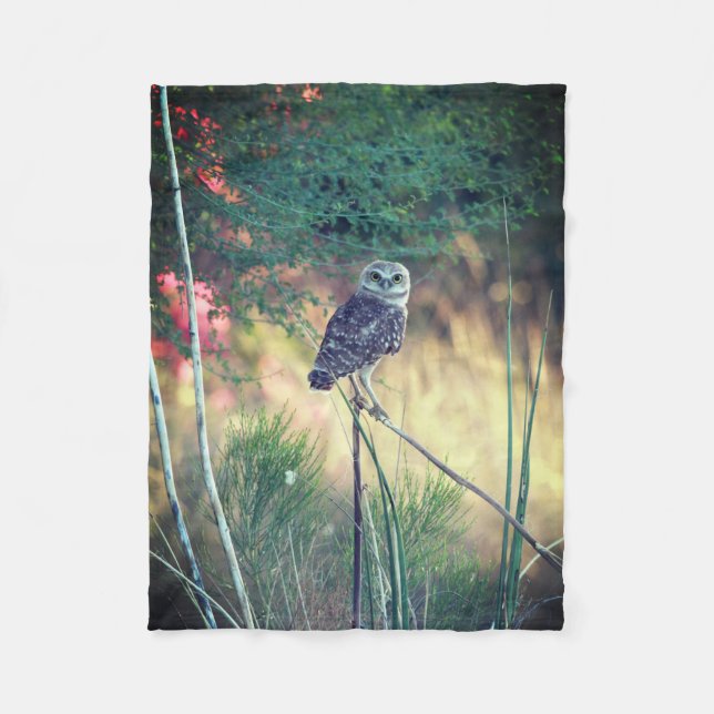 Burrowing Owl Small Fleece Blanket (Front)