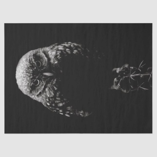 'Burrowing Owl' Tissue Paper (Front)