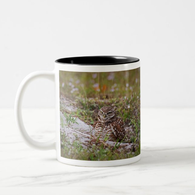 Burrowing Owl Two-Tone Coffee Mug (Left)