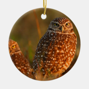 burrowing owls ceramic ornament