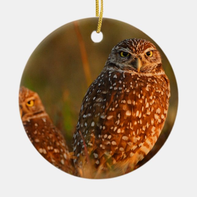 burrowing owls ceramic ornament (Front)
