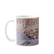 Burrowing Owls