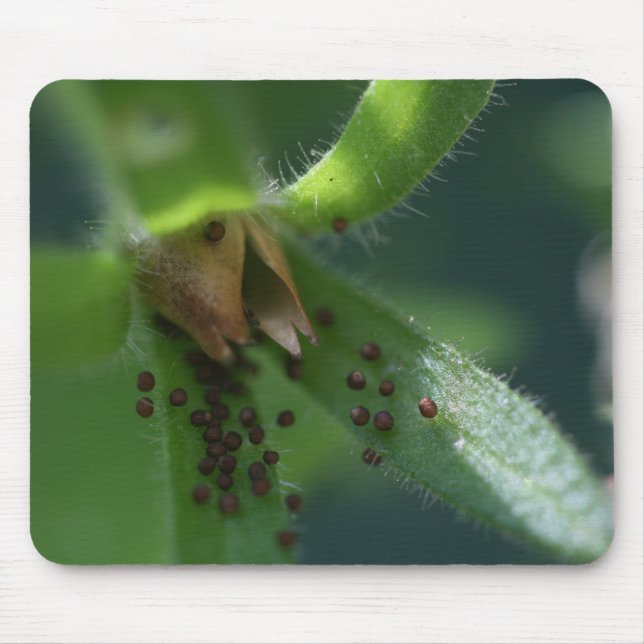 Burst Petunia Seedpod Mousepad (Front)