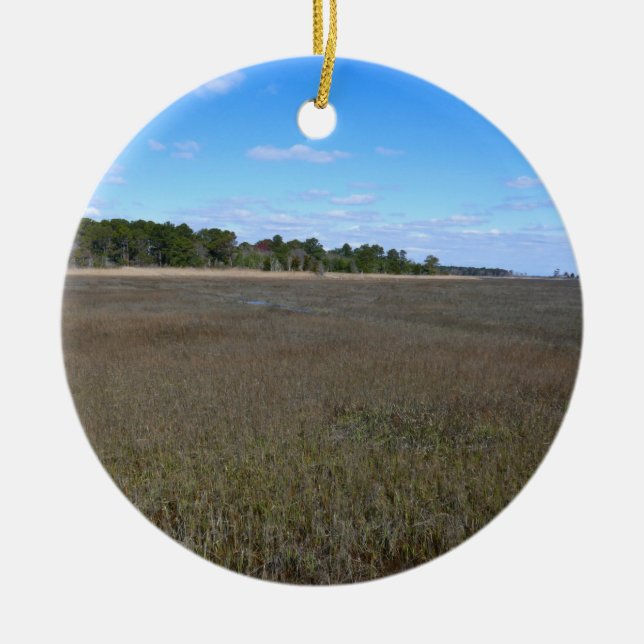 Burton Island Nature Preserve Trail Ceramic Ornament (Front)