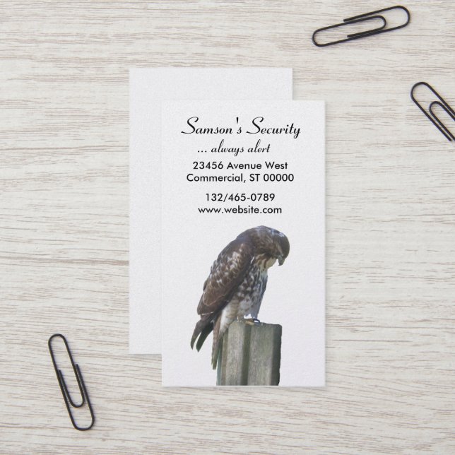 Bus. Card - Falcon (Front/Back In Situ)