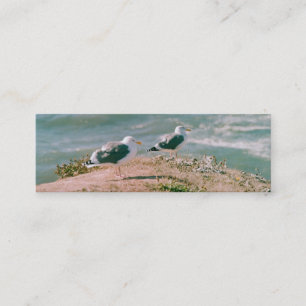 Bus. card - seagulls on cliff