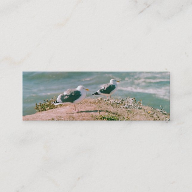 Bus. Card - Seagulls on Cliff (Front)