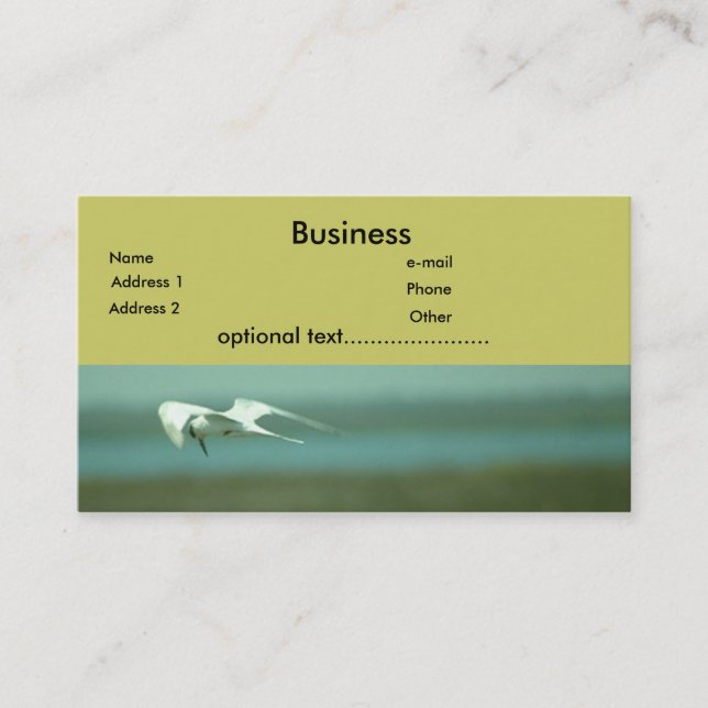 Bus. Card - Tern (Front)