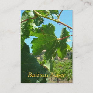 Bus. Carte - Vin de raisin