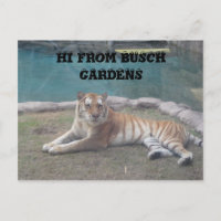 Busch Gardens