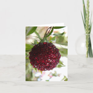 Bush Christmas Holiday Card