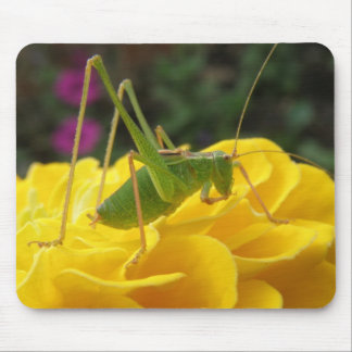 Bush Cricket Mousepad