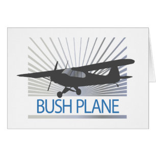 Bush Plane
