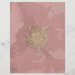 Bush Roses DullPastel