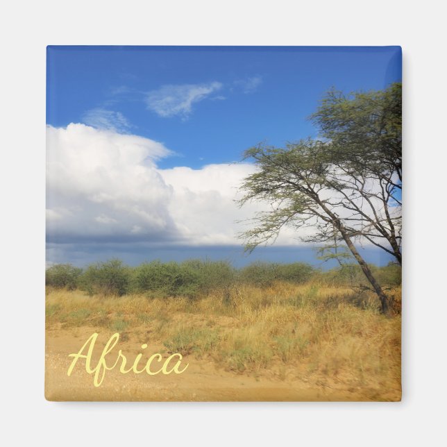 Bush Savannah Landscape Africa Safari Tree Magnet (Front)