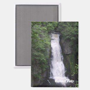 Bushkill Falls Rectangle Magnet
