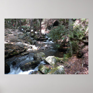 Bushkill River in the Poconos. print 0086