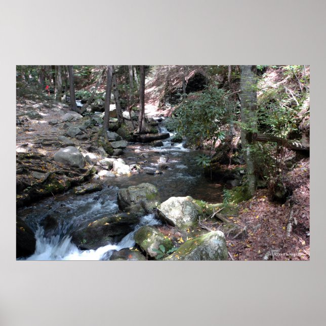 Bushkill River in the Poconos. print 0086 (Front)
