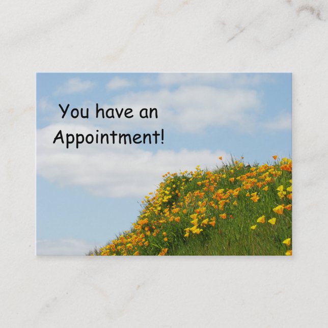 Business Appointment Cards Blue Sky Appts (Front)