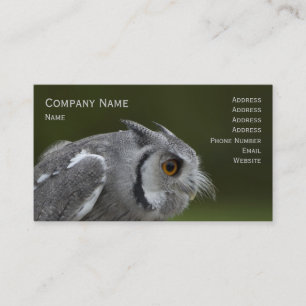 Business Card - Baby Grey Owl