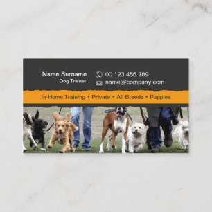business card for dog trainers