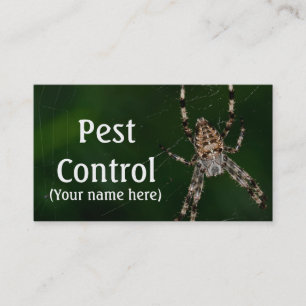 Business Card/Pest Control Business Card