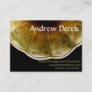 Business Card - Sound and Music