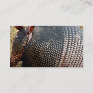 business card template armadillo photograph
