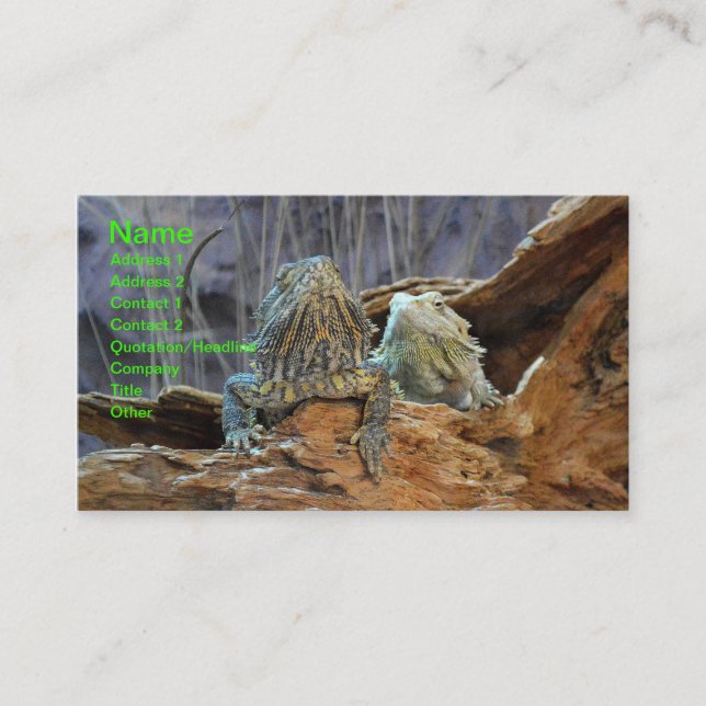 Business Card with two curious lizards (Front)