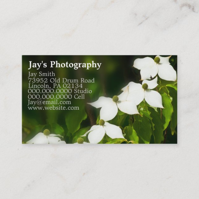 Business Cards For Photographers (Front)
