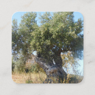 Business Cards old tree design style 