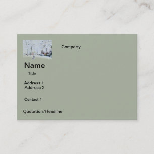 BUSINESS cards SNOW DESIGN