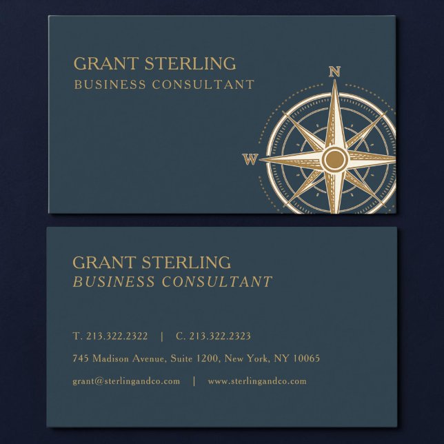 Business Consultant Nautical Compass Professional Card (Creator Uploaded)