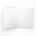 Business Custom Logo Shopping Bag