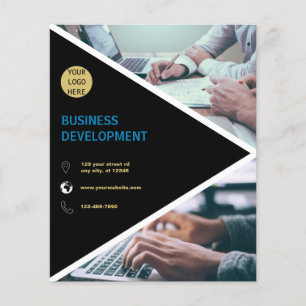 Business Development Business Flyer