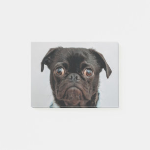 business dog post-it notes