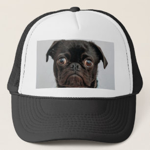 business dog trucker hat