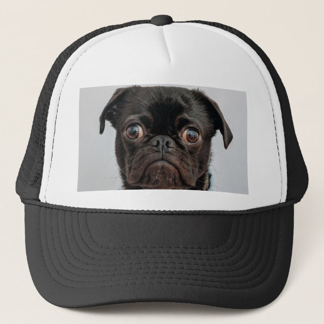 business dog trucker hat (Front)