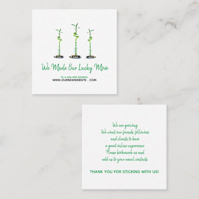 Business Website Address Change Curly Bamboo Square Business Card (Front/Back)