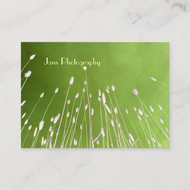 Businesscards template, wheat grass business card (Front)
