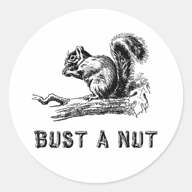 Bust a nut classic round sticker (Front)