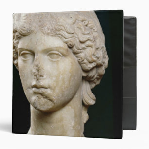 Bust of Agrippina the Elder  c.37-41 AD Binder