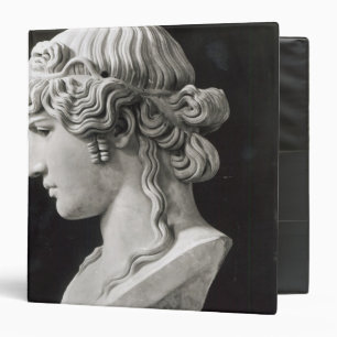 Bust of Antinous called 'Antinous Mondragone' Binder