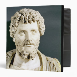 Bust of Emperor Septimus Severus Binder