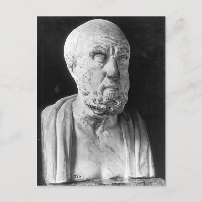 Bust of Hippocrates Postcard (Front)