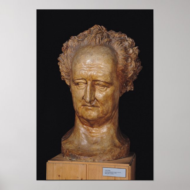 Bust of Johann Wolfgang von Goethe , 1831 Poster (Front)
