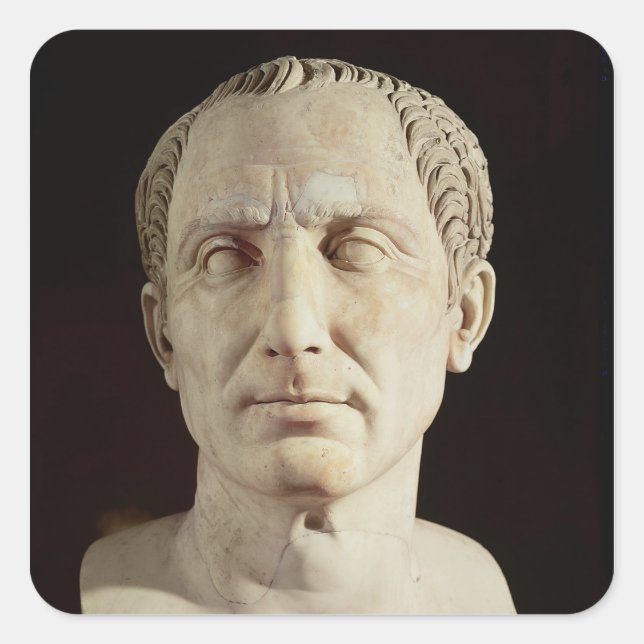 Bust of Julius Caesar 2 Square Sticker (Front)